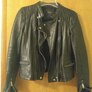 Zara Trafaluc leather jacket